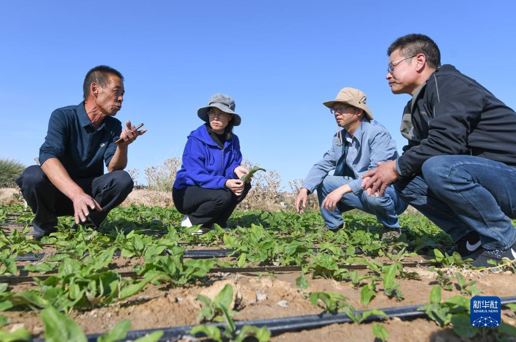 姚记捕鱼游戏技巧心得